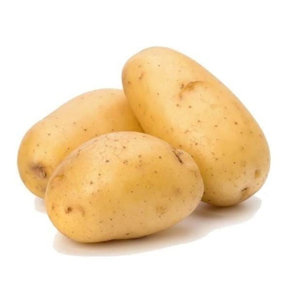 Potato Fresh New Crop (450  550g)