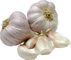 garlic  1kg