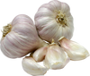 garlic  1kg
