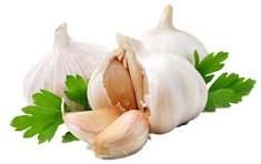 garlic  1kg